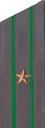 погоны 1959