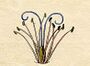 Ehret-Methodus Plantarum Sexualis-K.jpg