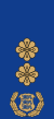 Estonia-Police-Politseikolonelleitnant.svg