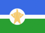 Flag of Surgutsky rayon (Khanty-Mansyisky AO).png