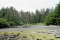 Haida villagesite.jpg