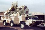 Nellis SA-8.jpg