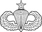 USAFSeniorParatrooper.jpg