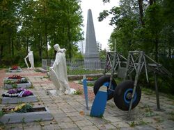 Muštnik Suren sodan vägimehile (2008)