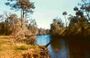 Florida wacca bay.jpg