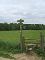 Illey Way - geograph.org.uk - 443988.jpg