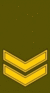 LT-Army-OR5a.gif