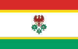 Флаг