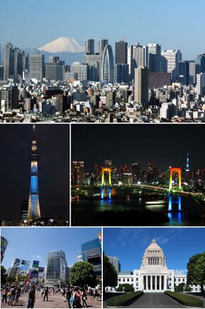Tokyo Montage 2015.jpg