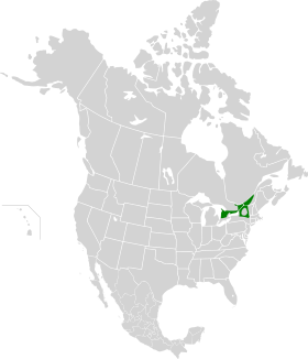 Eastern Great Lakes Lowland Forests.svg