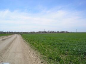 GrigoryevkaCrimea 1.JPG