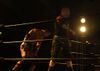 Masato Tanaka and Havok.jpg
