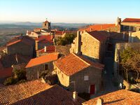 Monsanto ceilings.jpg