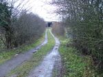 Muddy track leading to railway bridge - geograph.org.uk - 97675.jpg