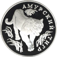 RR5109-0001R Амурский тигр.png