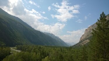 Баргажанай шэлэ