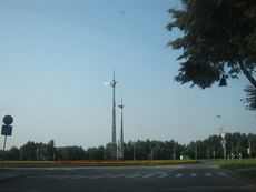 ElektrenuZiedas.JPG