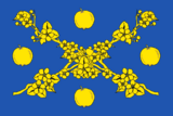 Флаг