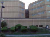LPCC 2010.JPG
