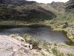 Laguna de Iguaque detalle.JPG