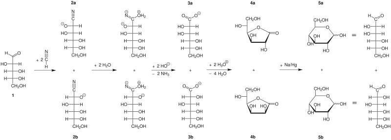 Mechanismus Kiliani-Fischer V1.svg