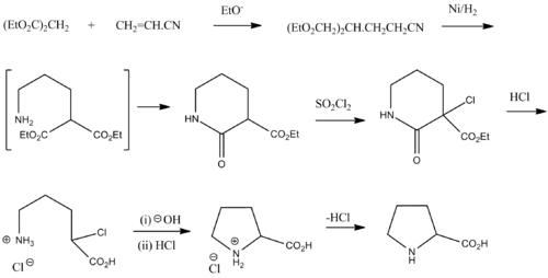 DL-Proline synth.png
