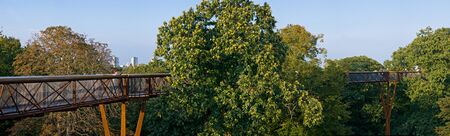 Kew Gardens Treetop Walkway - Sept 2008.jpg