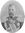 Sergey K. Gershelman.jpeg