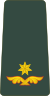 Georgia-Army-OF-3.svg