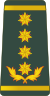 Georgia-Army-OF-9.svg
