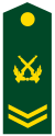 PLA Chief Sergeant Class 4.svg