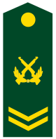 PLA Chief Sergeant Class 4.svg