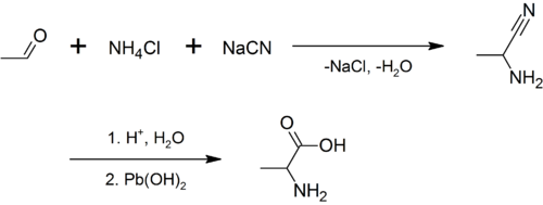 Synthesis of alanine - 1.png