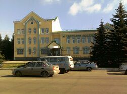 Bankan sauvuz (2010)