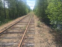 Оп Вирда (перегон Ледмозеро - Боровой). Вид в сторону Хижозеро.jpg