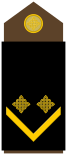Army-HRV-OR-05.svg