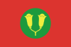 Flag of the Sultanate of Zanzibar (1963).svg