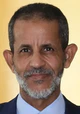 Ismail Ould Bedde Ould Cheikh Sidiya (cropped).jpg