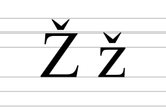 Latin letter Z with caron.svg
