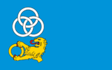 Флаг