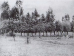 Pissarro - Pissarro and Durand-Ruel Snollaerts, 843.png