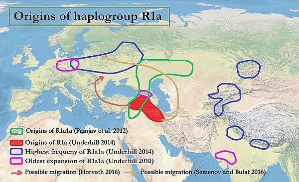 Гаплогруппа R1a (Y-ДНК) — Рувики: Интернет-энциклопедия