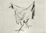 Sketch of a Hen f 1731 jh 2068.jpg