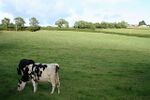 Stockland, by Ford Farm - geograph.org.uk - 226396.jpg