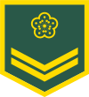 Taiwan-army-OR-2.svg