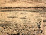 Vincent van Gogh - Marsh with Water Lilies - F845 JH7.jpg