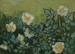 Wilde rozen - s0190V1962 - Van Gogh Museum.jpg