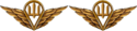 Емб ДШВ.png