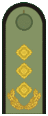 Belarus BKA 1944 everyday - Hienieral palkoŭnik.gif