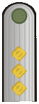 Belarus BKA 1944 parade - Kapitan.gif